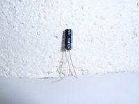 10µF/100V radial 10µF/100V radial